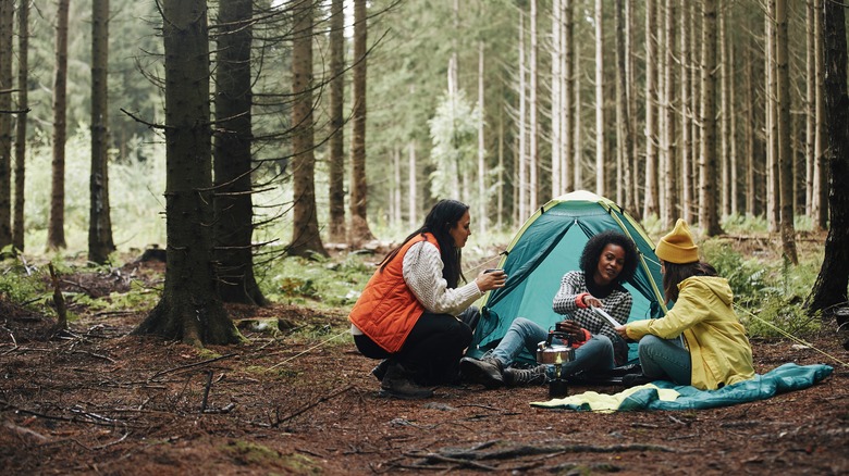 Three women camping pine forest