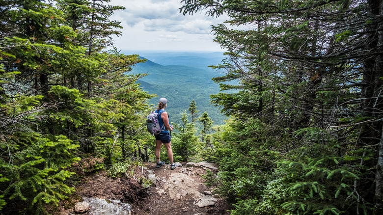 Hiker at viewpoint along Appalachian Trail