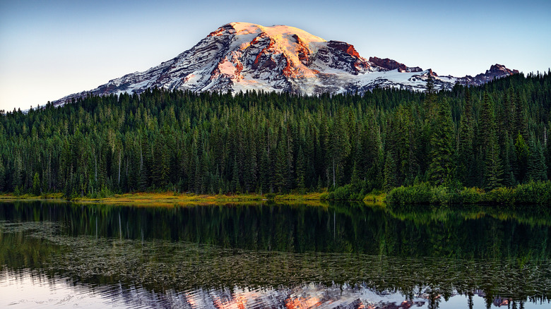 Lake and forest view with Mount Rainier in distance