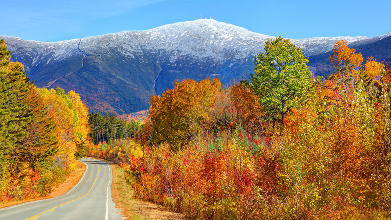 Fall road with Mount Washington in the background