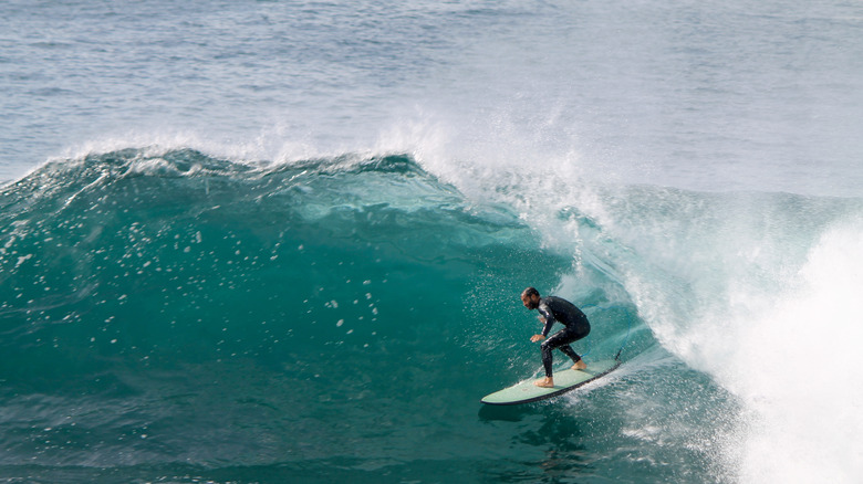 Surfer on wave at Cape Solander