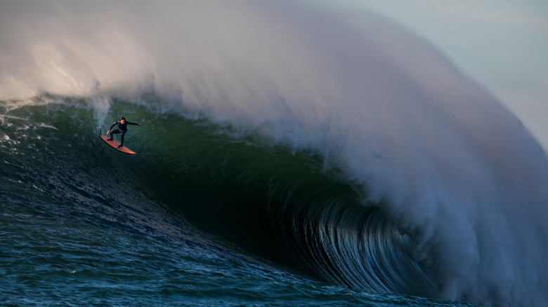 Surfer riding massive wave at Mavericks 