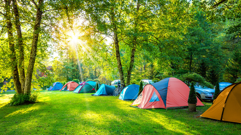 Tents set up at a campsite 