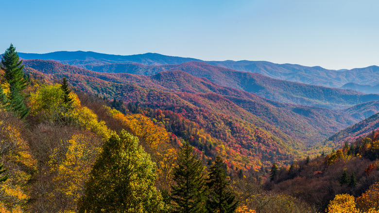 Great Smoky Mountains in autumn 