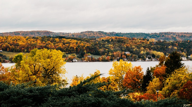 Autumn foliage by Finger Lakes