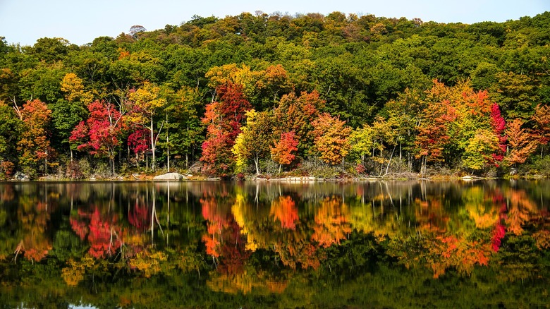 Start of autumn foliage along lake