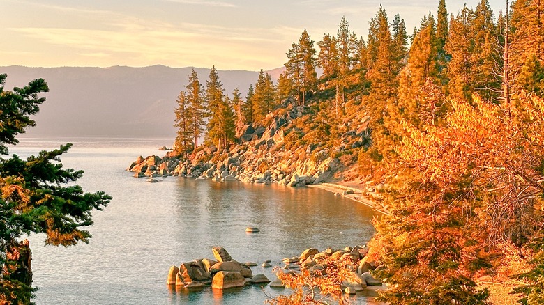 Fall foliage by Lake Tahoe