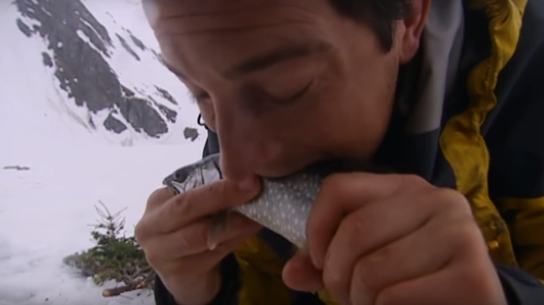 Bear Grylls eating fish