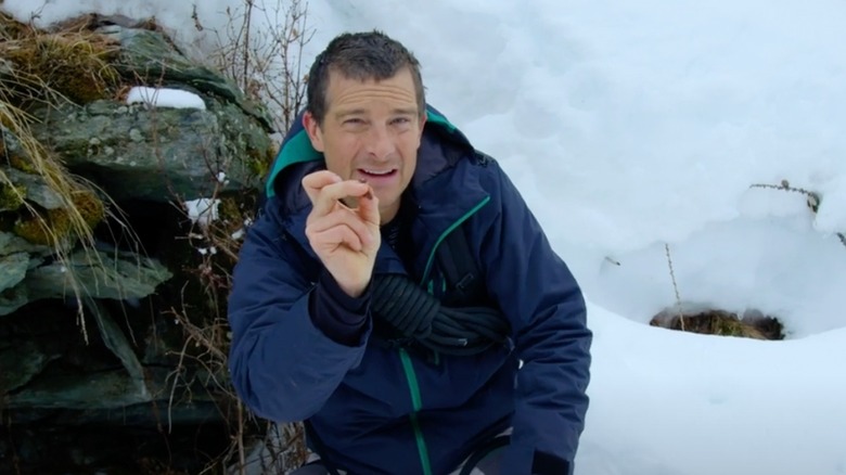 bear grylls holding bear feces bits