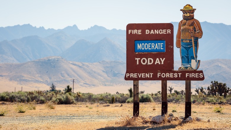 Fire Danger sign led by Smokey the bear