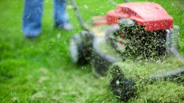 Lawn mower cutting grass