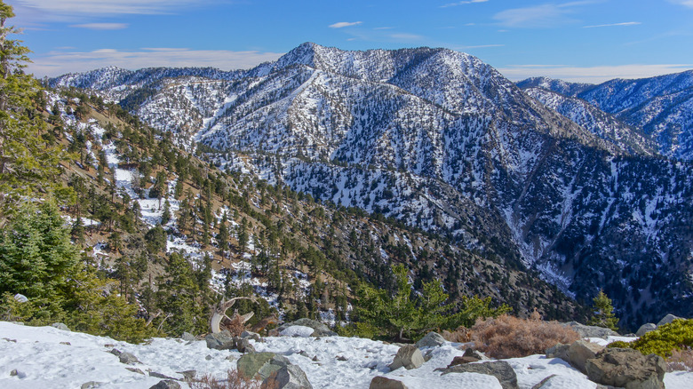 Mount San Antonio (Baldy) in winter