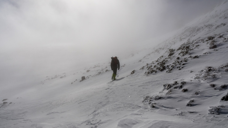 Hiking Mount Baldy in spring