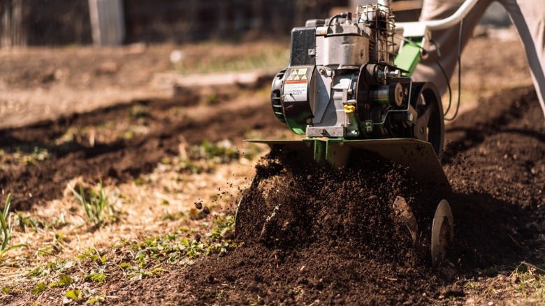 A rototiller used to mechanically turn the soil in a garden bed