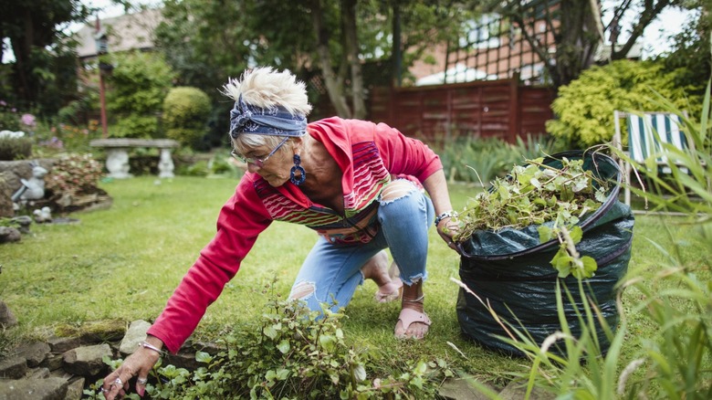 A woman filling a bag with weeds from her garden