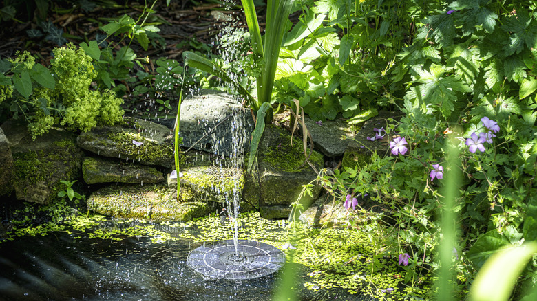 Water fountain in green garden