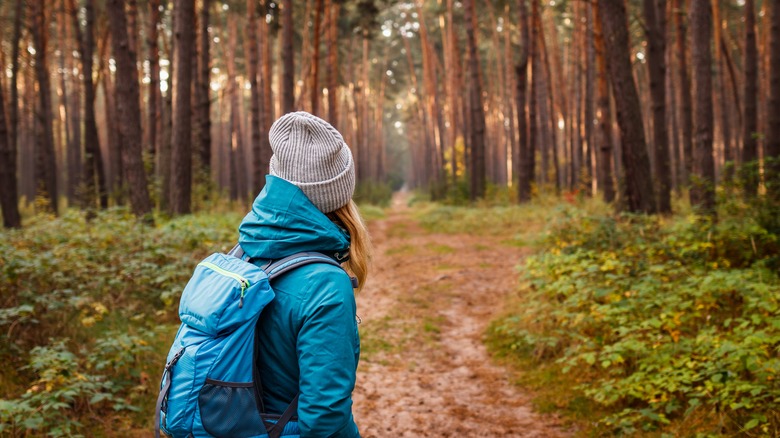 Hiker in the woods