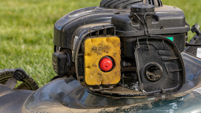 Lawn mower air filter close up