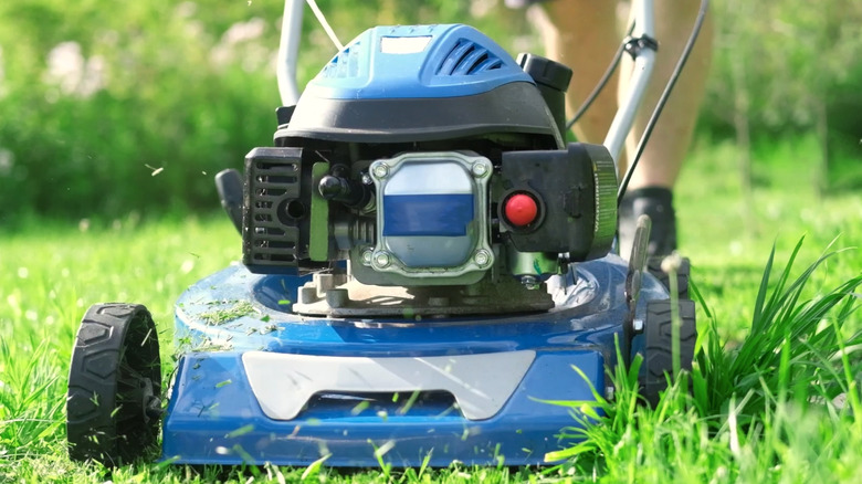 Lawn mower cutting grass