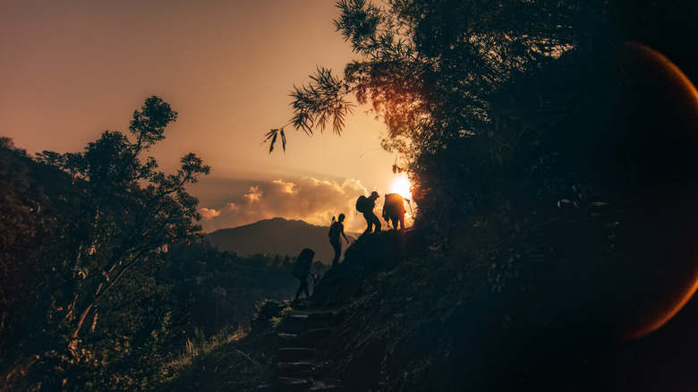 Hikers climbing stairs at sunset