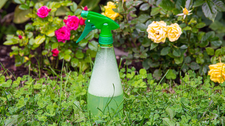 Bottle of dish soap liquid in garden