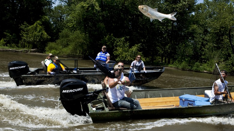 Fishermen skarping in boats with fish in air