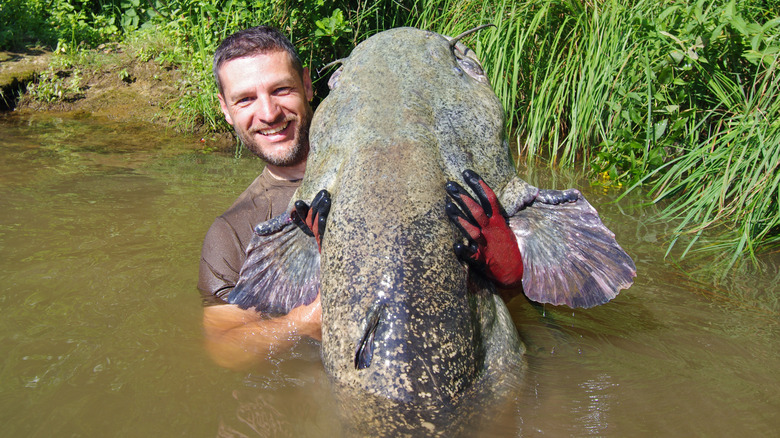 Man holding a catfish over shoulder after noodling