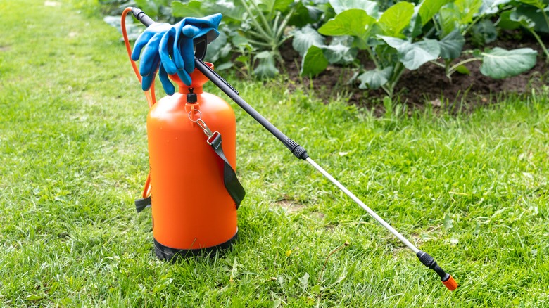 plant sprayer in yard and garden