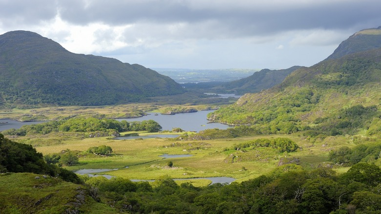 A scenic view of Killarney National Park called Ladies View