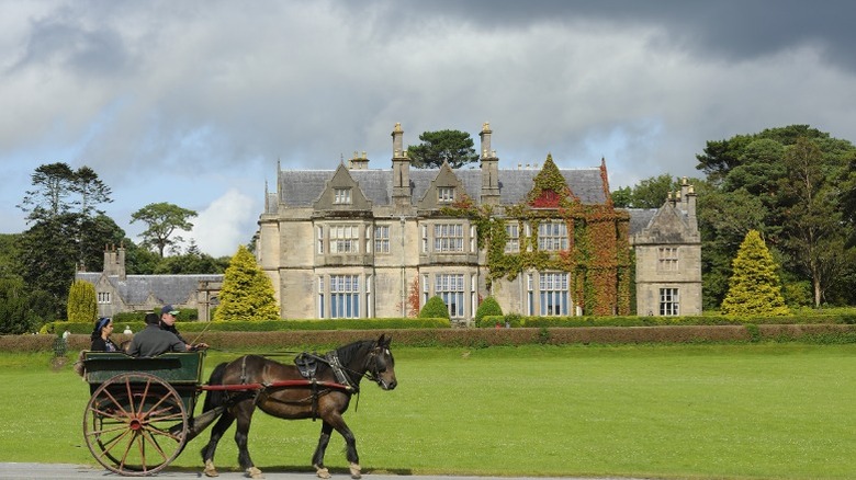 A jaunting car driving past the Muckross House and Gardens in Killarney National Park