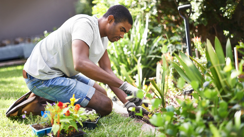 Man tending to garden