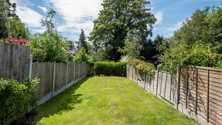 narrow yard with fences