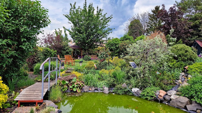 Large garden with pond