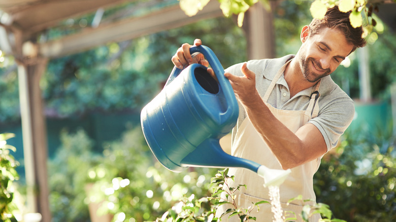 man watering plants