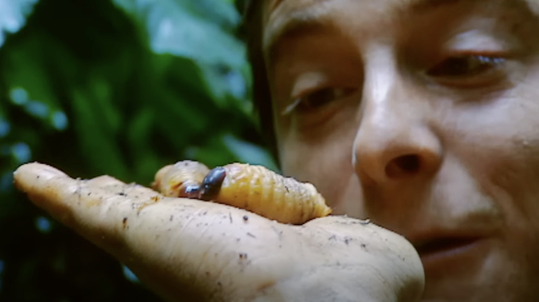 Bear Grylls with two grubs