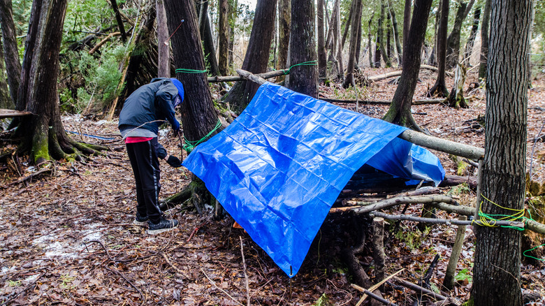 Constructing a bushcraft tarp shelter 