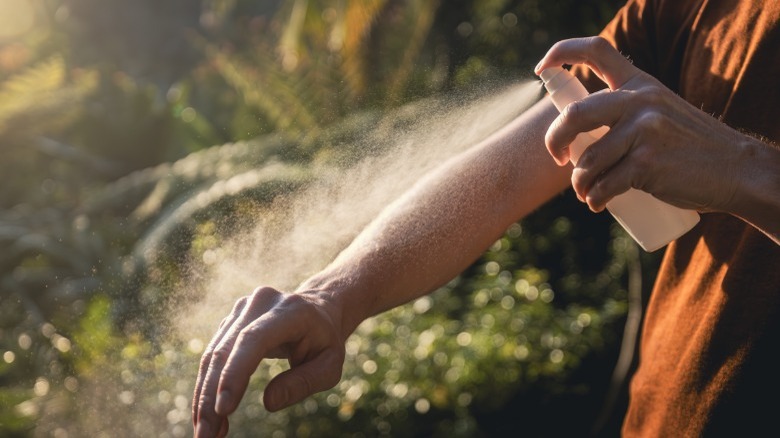 A person spraying aerosol bug spray onto their arms