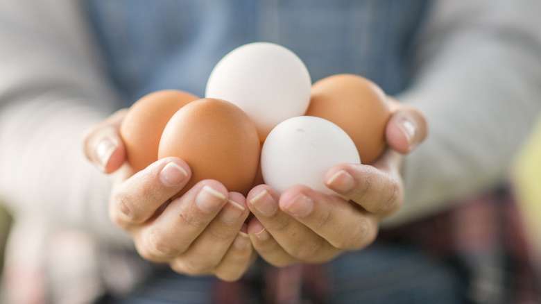 Hands holding onto eggs