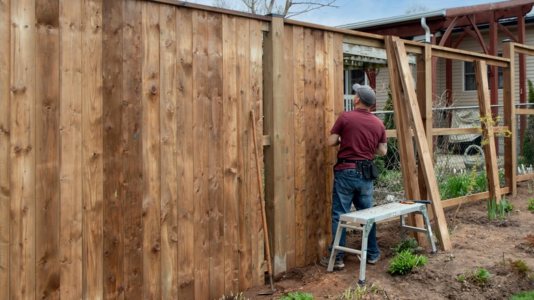 Carpenter building a tall wooden fence