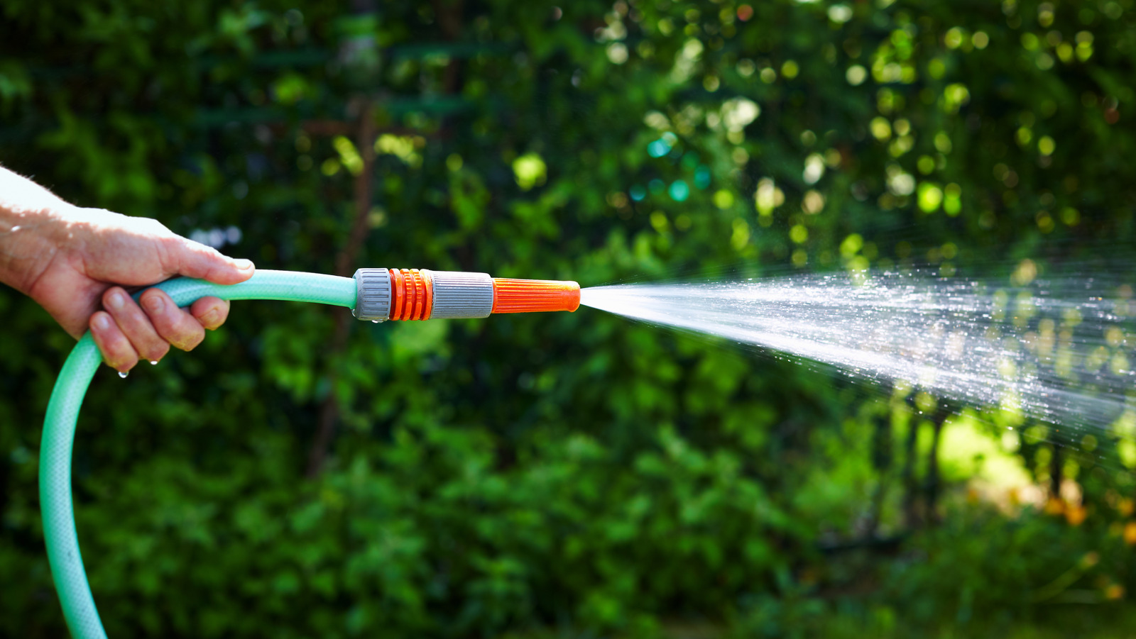 Think Twice Before Watering Your Lawn Every Day