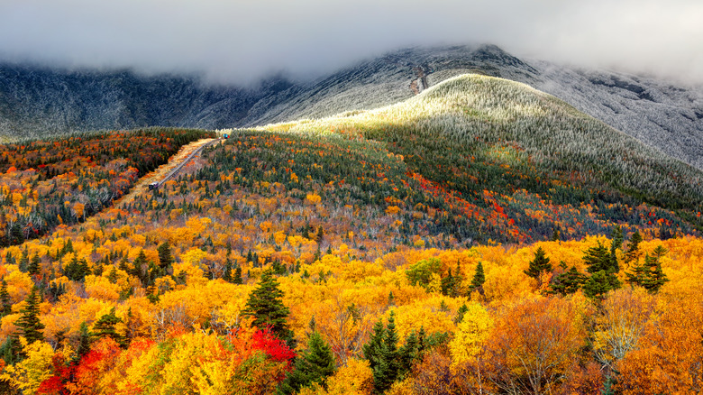 Views of autumn foliage of White Mountain National Park and Mount Washington