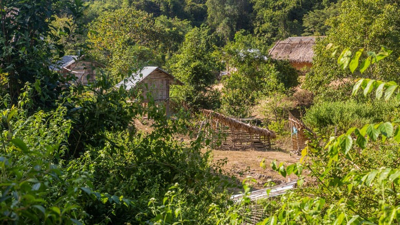 Village in Nam Ha Protected Area