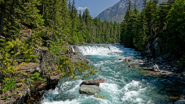 Rushing river in Glacier National Park