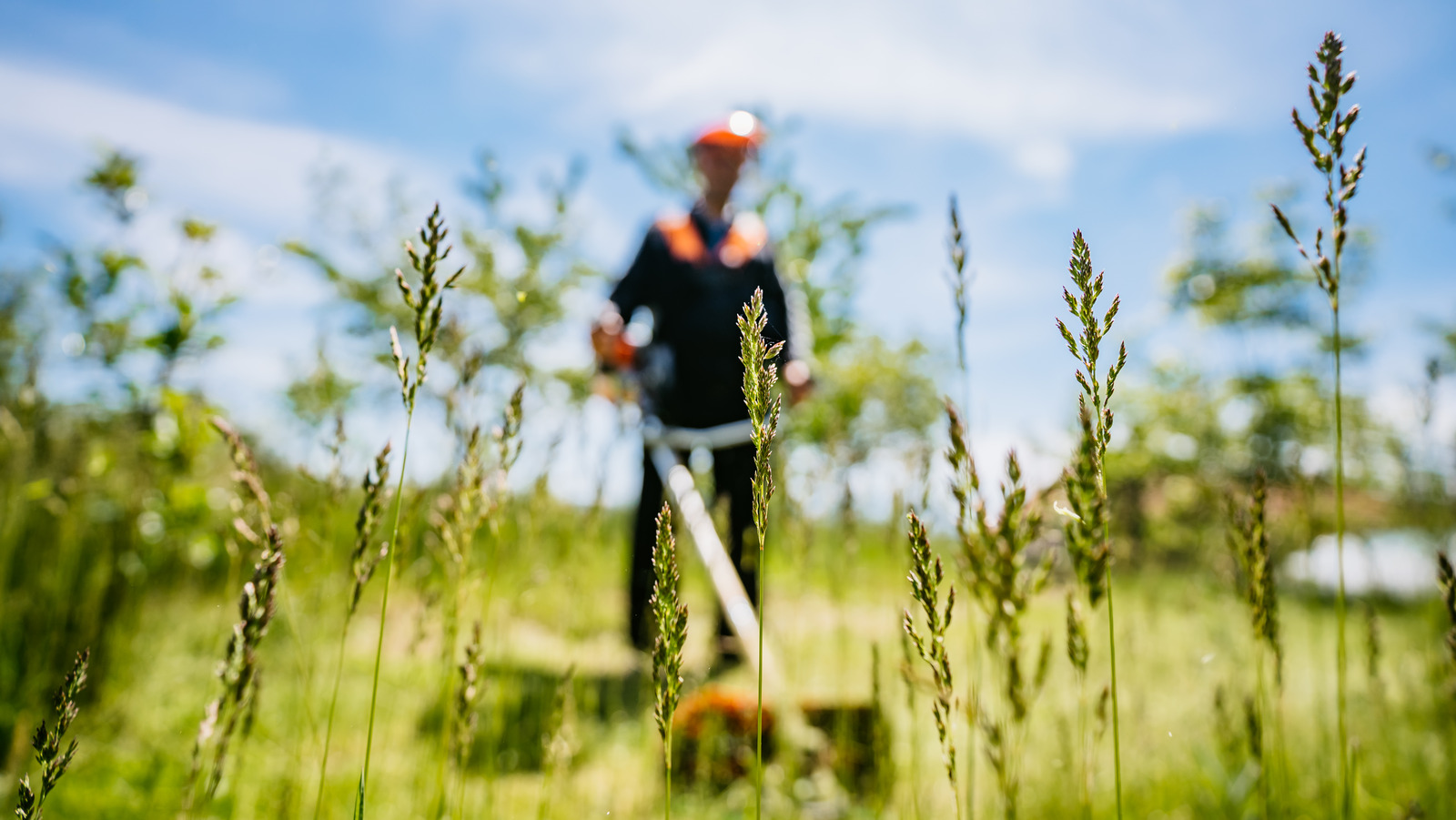 This Mowing Technique Is The Most Effective Way To Control Pesky Weeds