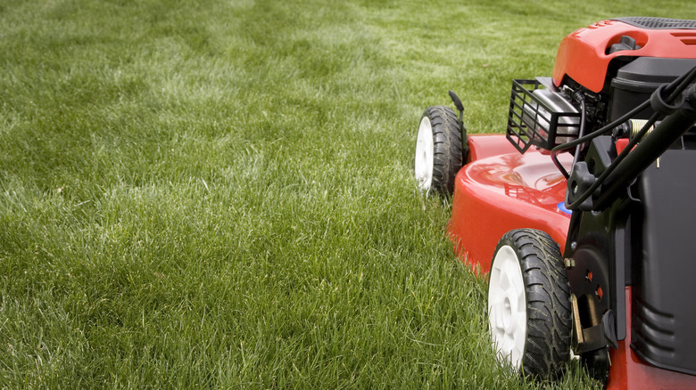 lawnmower on grass lawn