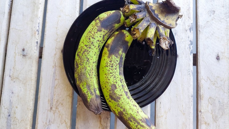 Overripe bananas on table