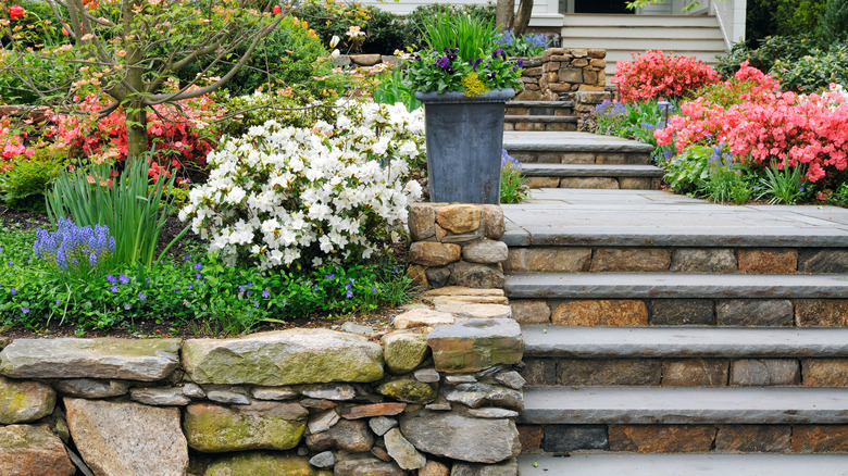 Garden with stone wall and steps