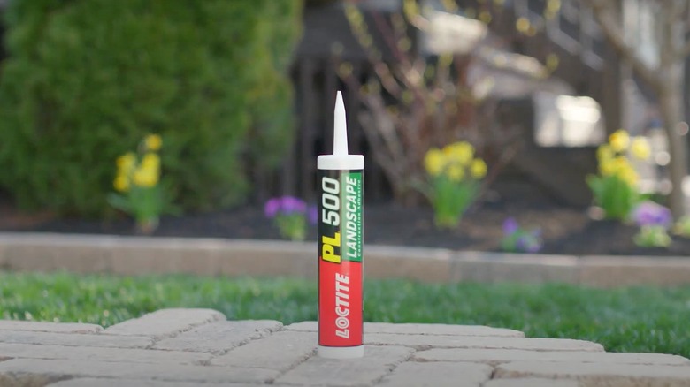 Loctite PL500 landscape glue displayed on lawn