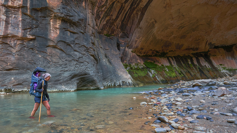 Hiker trekking through the Virgin River in the Narrows