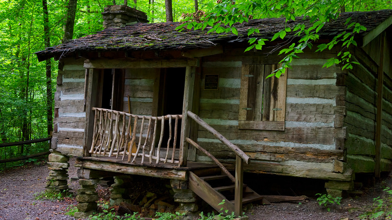 Carter Cabin in Natural Tunnel State Park